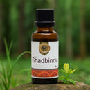 Bottle of Shadbindu on a rock with a natural background