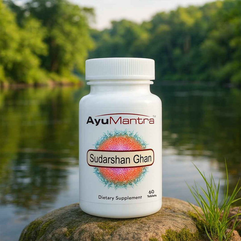AyuMantra Sudarshan Ghan Vati tablets bottle on a river rock surrounded by green grass