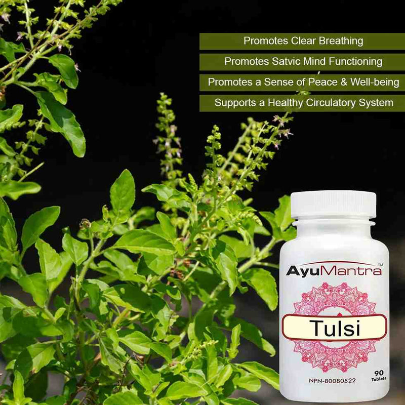 AyuMantra Tulsi tablets bottle beside fresh holy basil plant with benefit text about breathing and wellbeing.