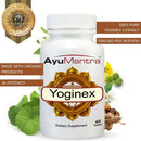 Ayumantra Yoginex tablets bottle with purity seal and herbs, highlighting 1000 mg organic multi herb extract.