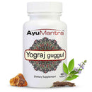 AyuMantra Yograj Guggul tablets bottle with guggul resin and green herbal sprig in front