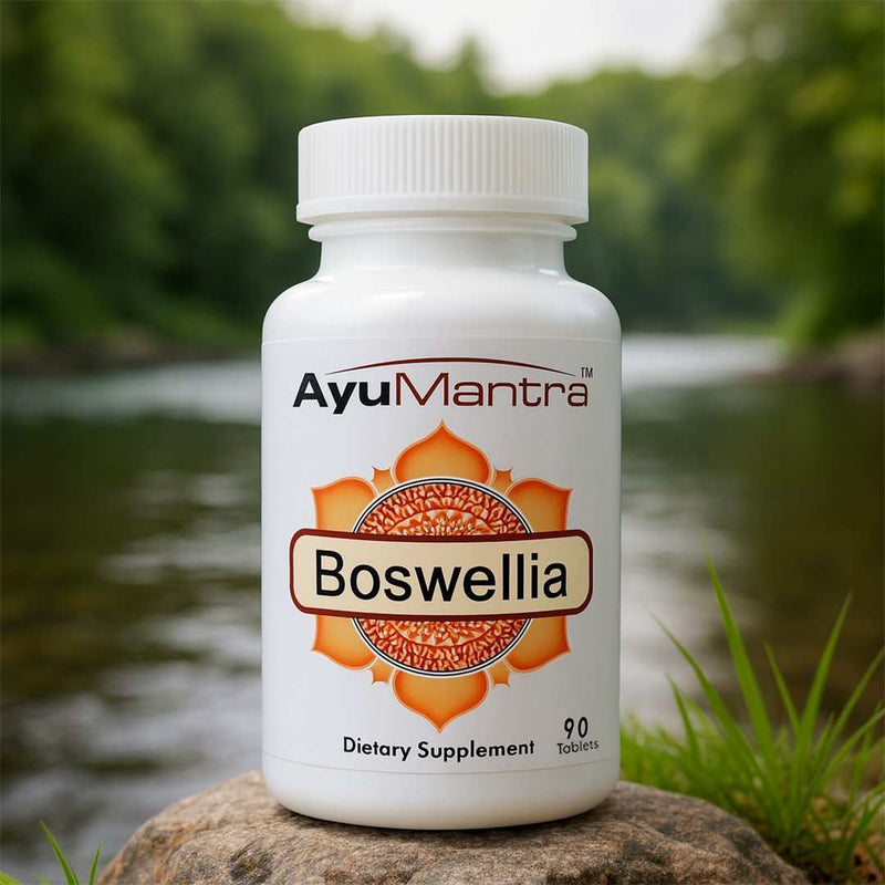 Ayumantra Boswellia tablets bottle on a rock by a river in a green natural setting