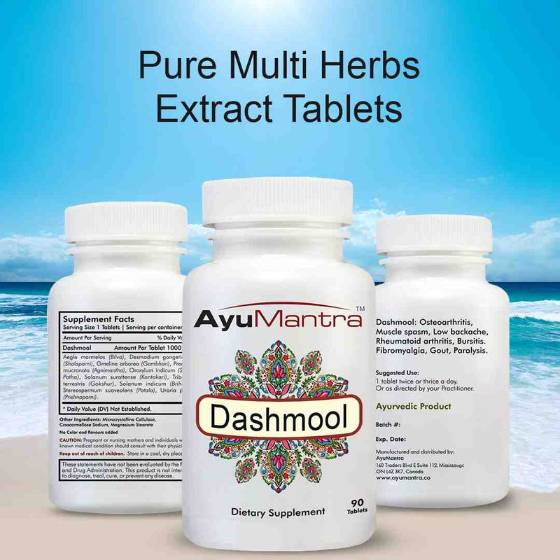 Three Dashmool tablets bottles showing front label, supplement facts and suggested use text by the sea.