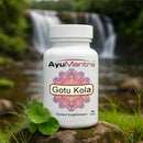 Ayumantra Gotu Kola tablet bottle on a rock by a waterfall and green landscape.