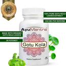 Ayumantra Gotu Kola tablets bottle with green leaves and labels for organic extract and high potency.