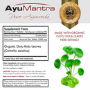 Gotu Kola, Centella Asiática - 90 Comprimidos