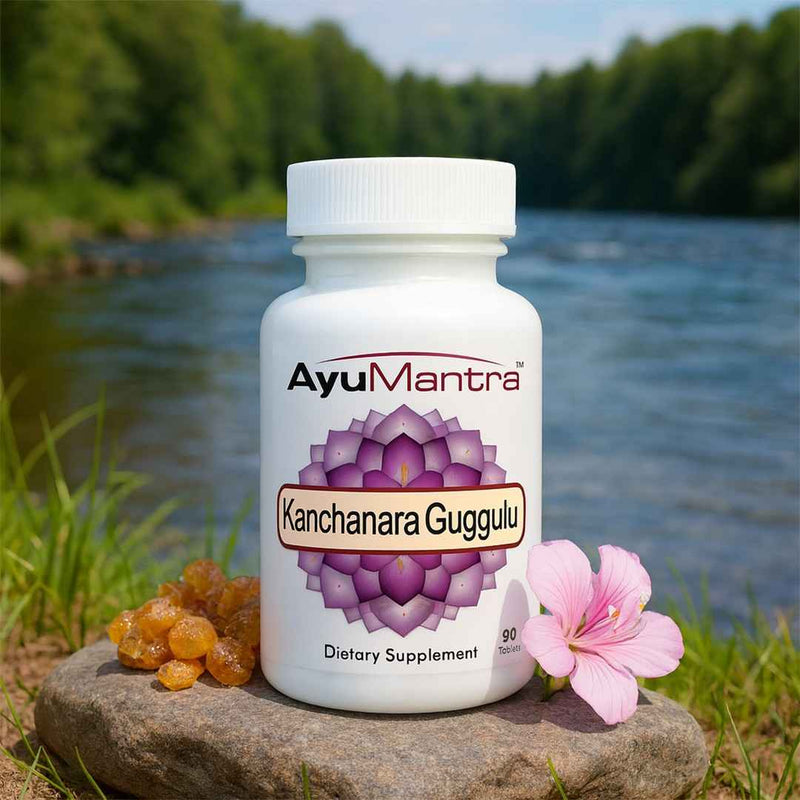 Ayumantra Kanchanara Guggulu tablets bottle on a rock by a river with resin and pink flower.