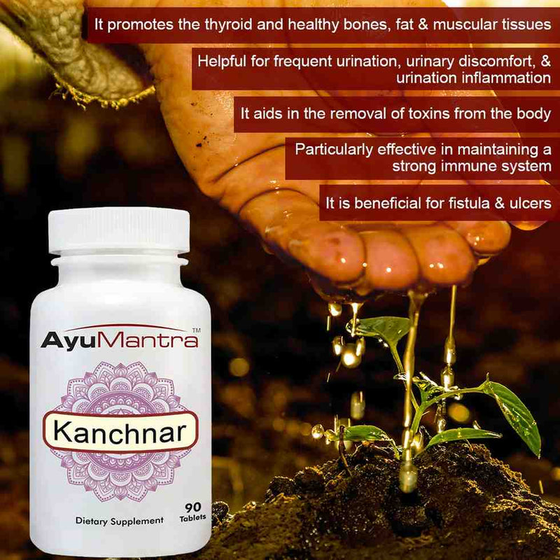 Kanchnar tablets bottle beside a watered plant, highlighting detox and immune support benefits.
