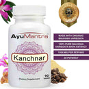 Kanchnar tablets bottle with bauhinia resin, pepper and herb powders, promoting organic Ayurvedic extract