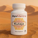 AyuMantra Kutaja tablet bottle standing on desert sand with soft golden dunes in the background
