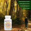 AyuMantra Kutaja tablet bottle in a forest scene with an elderly man walking on a path.