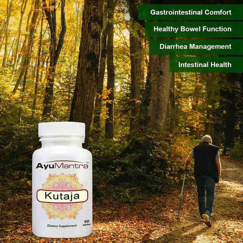 AyuMantra Kutaja tablet bottle in a forest scene with an elderly man walking on a path.